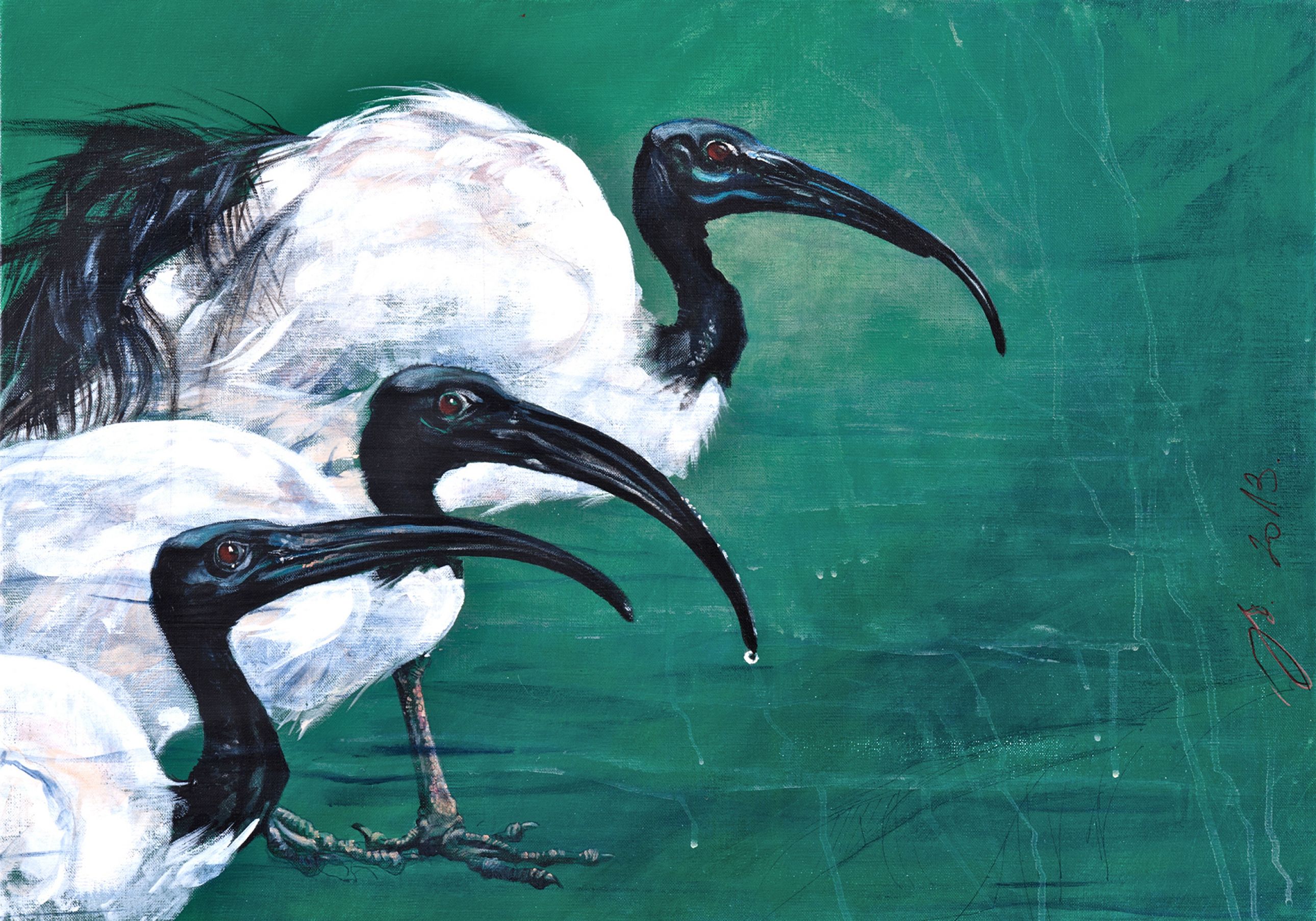 ibis sacrés 1- acrylique sur toile 50 70 cm.jpg
