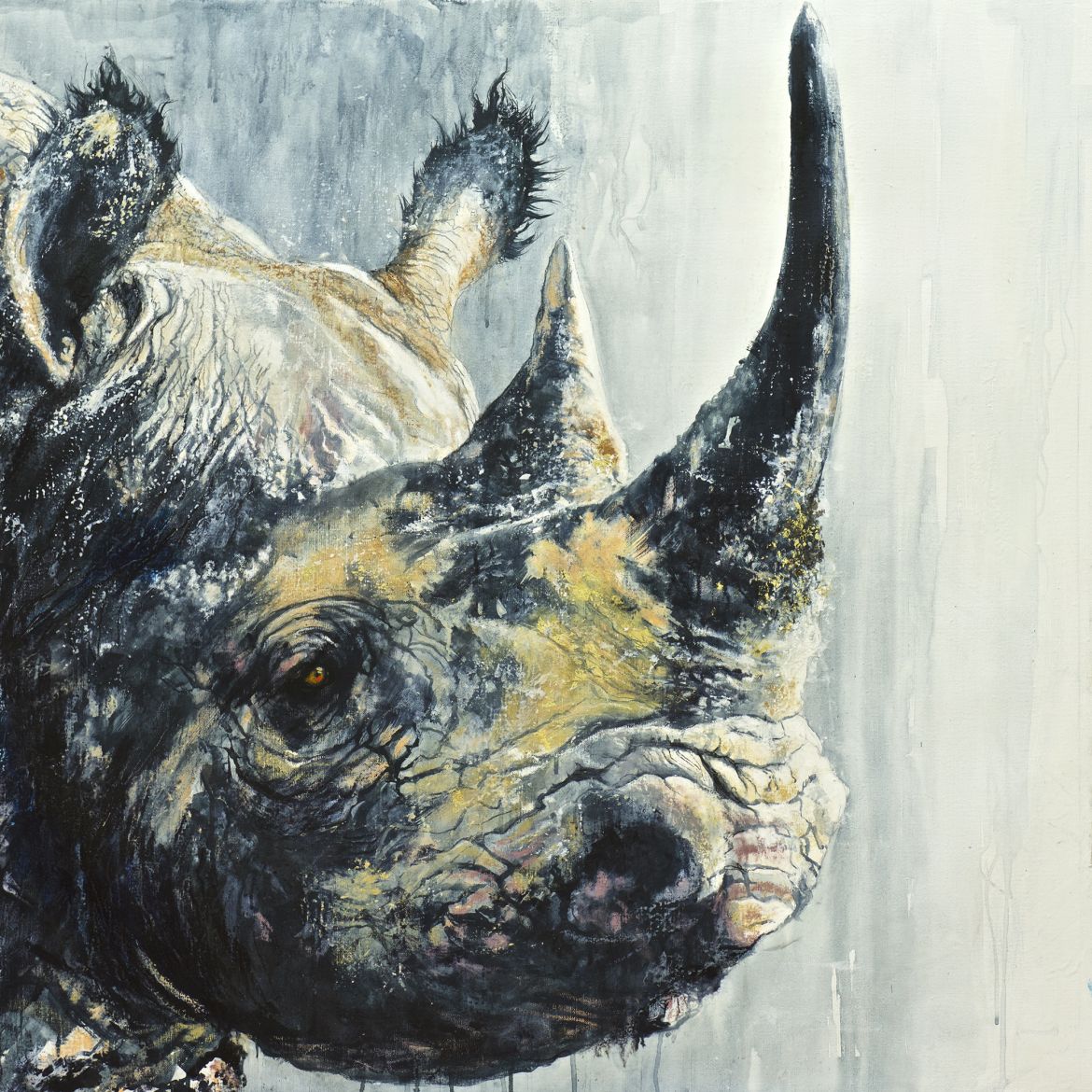 Rhino - encaustique sur toile - 100/100 cm