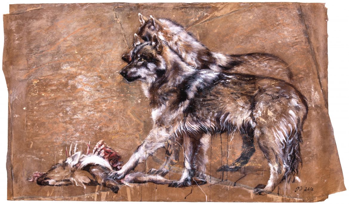 Loups gris européens sur une carcasse -encaustique sur papier, marouflé et cloué sur bois – 85/140 cm